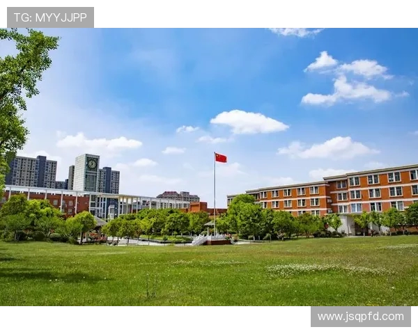 南京飞盘队防反战术创新探索与实践全景分析