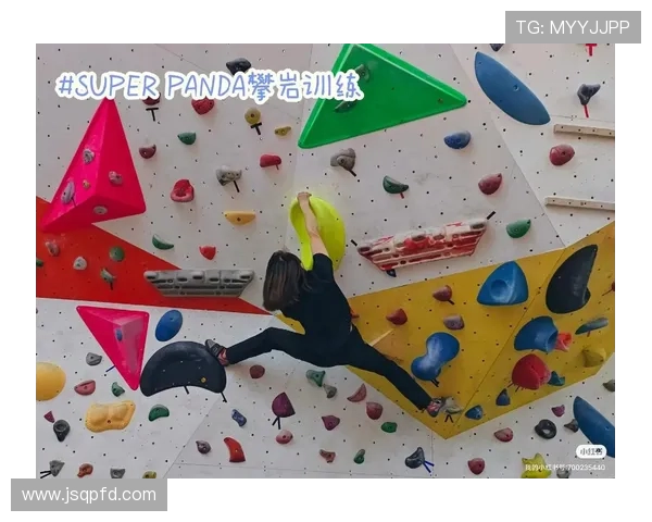 攀岩新手必看灵活性训练技巧与入门指南助你轻松上手