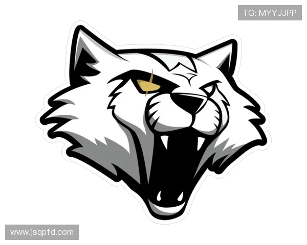 热议CSGOLNG战队如何通过速度变革重塑竞技格局