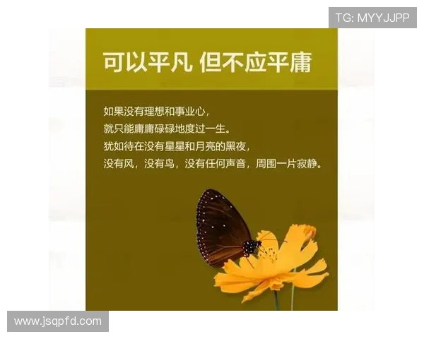 焦泊乔的奋斗历程与人生哲学：从平凡到卓越的心路历程与思考