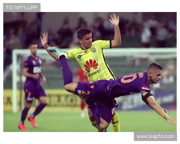 珀斯光荣与惠灵顿凤凰对决分析及赛前推荐策略分享