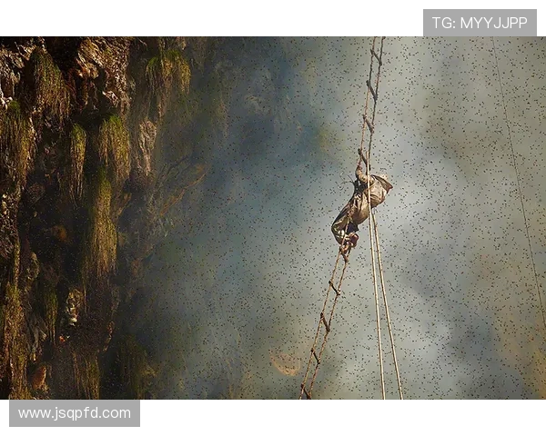 深圳攀岩队包夹革新之路探索与实践的全景报告