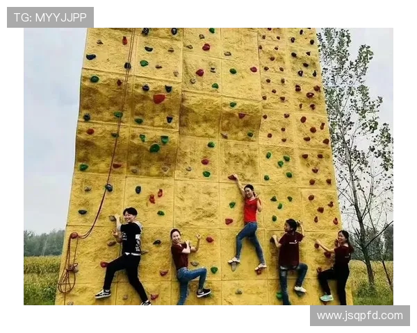 北京攀岩队心理素质分析与表现评估研究报告 北京攀岩队心理素质分析与表现评估研究报告