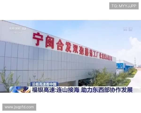 南京网球队展现卓越团队协作精神助力联赛精彩表现